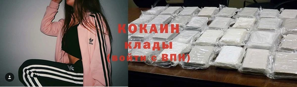 тгк Ладушкин