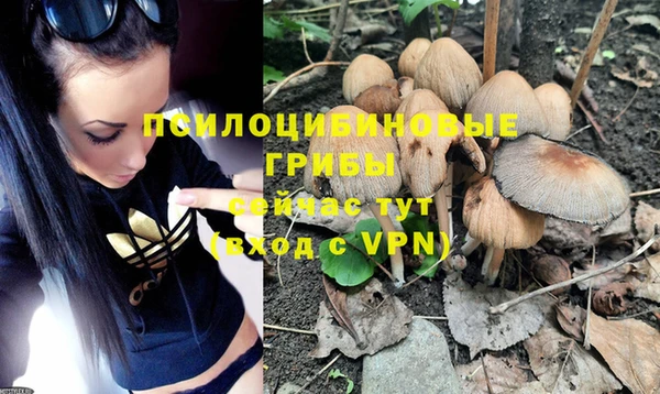шишки Липки
