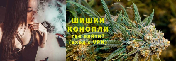 тгк Ладушкин