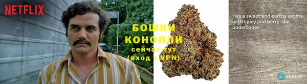 шишки Липки