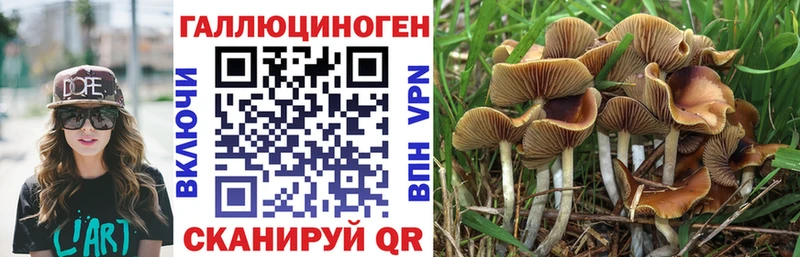 Галлюциногенные грибы MAGIC MUSHROOMS  нарко площадка Telegram  Терек 